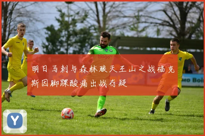 明日马刺与森林狼天王山之战福克斯因脚踝酸痛出战存疑