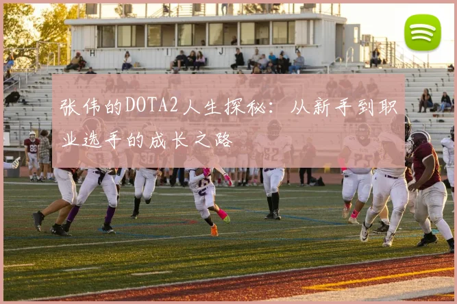 张伟的DOTA2人生探秘：从新手到职业选手的成长之路